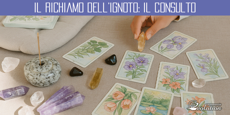 Consulto 